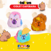 COLET CAPIBARA